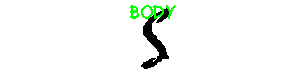 BODY